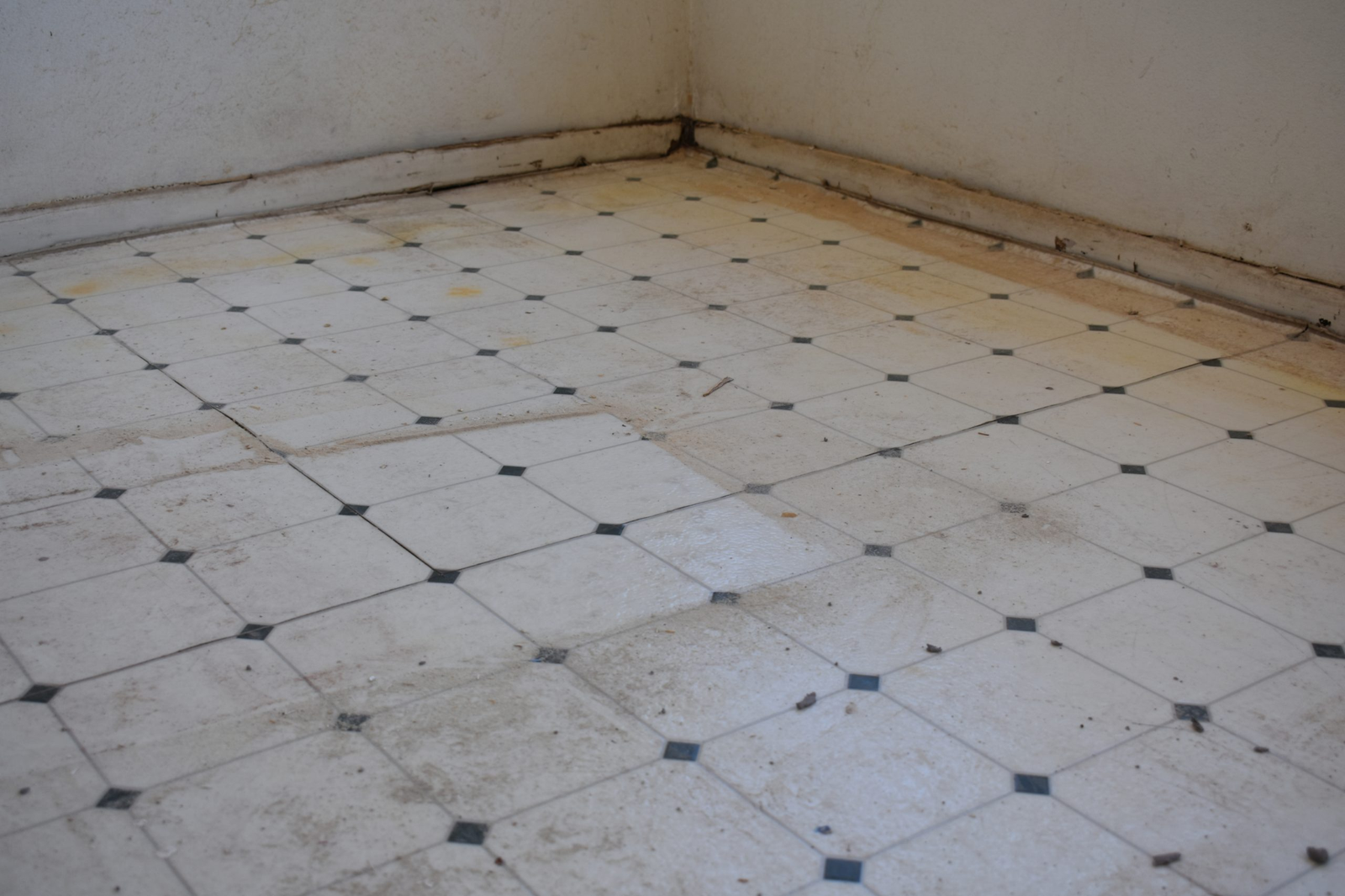 Before Grout and tile edge refresh
